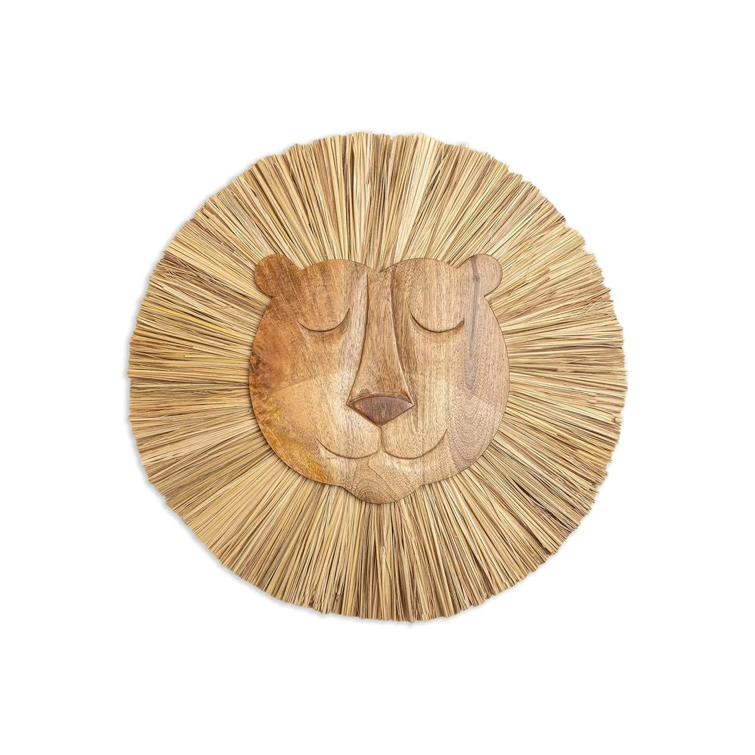 Safari Animal Wooden Wall Decor