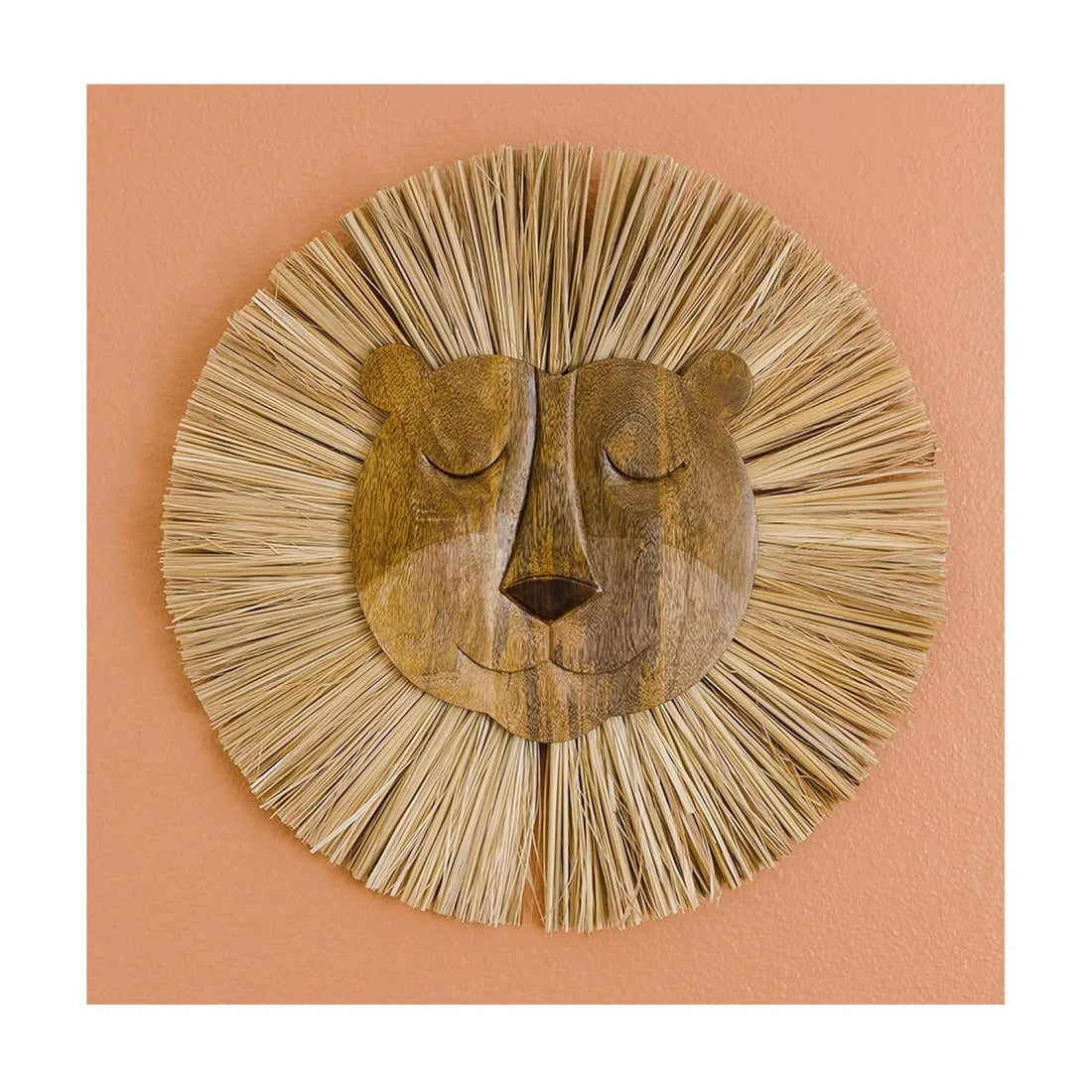 Safari Animal Wooden Wall Decor