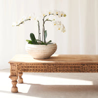 Hand Carved Solid Wood Coffee Table
