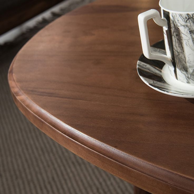 Campa Mango Wood Coffee Table for Living Room