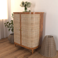 Curve Rattan Door Cabinet Storage