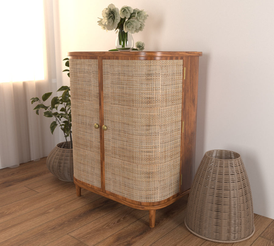 Curve Rattan Door Cabinet Storage