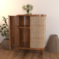 Curve Rattan Door Cabinet Storage