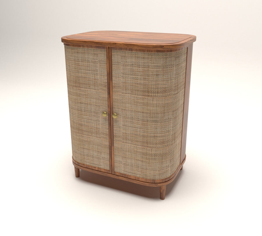 Curve Rattan Door Cabinet Storage