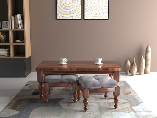 Mayuri Coffee Table